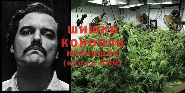 прущие крисы Остров