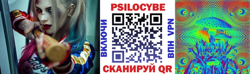 Псилоцибиновые грибы мицелий  hydra маркетплейс  Алексеевка 